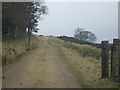 Track to Newtown of Glenmarkie