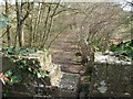 Farm track under bridge on Downs Link trail