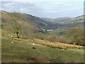 The valley of Afon Twrch, Carmarthenshire