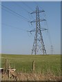 Powerlines, Hareshaw