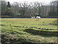 Horse and House beside the A2037 near Woods Mill