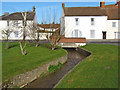 Stream in North Petherton