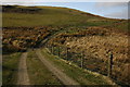 Track on Cefn Blaeneinon