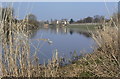 River Trent below Clifton Bridge