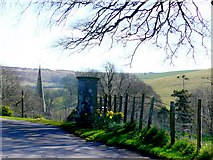 SY5889 : Entrance to Littlebredy and the village church spire by Nigel Mykura