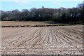 Stubble Field near Redbridge.