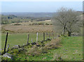 Farmland south-east of Lampeter, Carmarthenshire