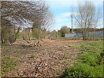 SO8652 : Clearing and coppicing in the corner of Power Park by Andrew Darge