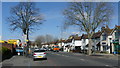 Street Scene in Thornton Road