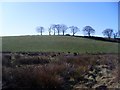 Hill behind Kessington