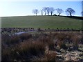 Muddy stream at foot of hill