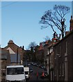 Tree-felling in Palace Street East, Berwick upon Tweed