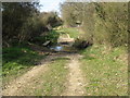 Ford and footbridge on path to Abbeylands Farm