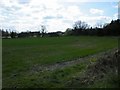 Field at Molehill Green