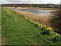 Pond north west of Ferriby Sluice