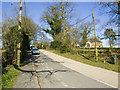 View up Alton Lane, Four Marks