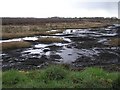 Bogland, Cloghfin