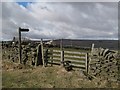 Footpath to  Holms Linn