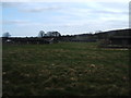 Disused  pheasant runs at Warthermarske