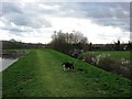 On top of the embankment, Startops Reservoir