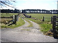 A farm track near Greystone