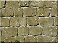 NY9269 : Hadrian's Wall near Turret 26b (Brunton) by Mike Quinn