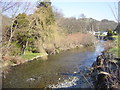 View from the bridge, Dol y Bont