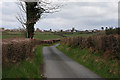 Minor road approaching Pant-y-crug from the south