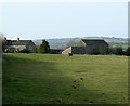 2009 : Pasture at Bromley Farm