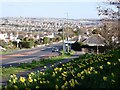 Daffodils, Dartmouth Road, Waterside, Paignton