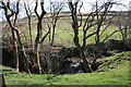 Waterfall, Morkin Beck