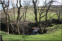 SE0040 : Waterfall, Morkin Beck by Mark Anderson