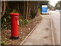 St. Leonards: postbox № BH24 50