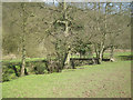 Footbridge over the River Churnet