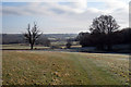 Fields near Court Farm