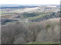 View north, from Haldon Belvedere