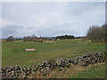 Golf Course, Ranfurly