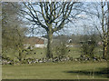 2009 : Outbuildings at Priddy Road Farm