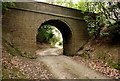 Track and bridge in Gregynog Hall grounds