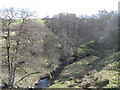 The cleugh of Sinderhope Burn