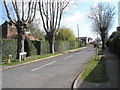 Looking eastwards along The Avenue