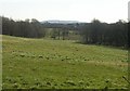 View from Mill Dam Lane, Burscough