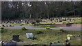 Burial ground at Shottermill