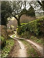 Bridleway to Smallacombe