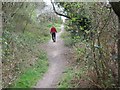 Roman Road in Broadstone