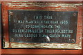 Plaque below Welford-on-Avon Jubilee Tree