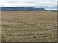 Stubble field near Lomondville