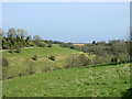 2009 : Farmland and coombe near West Kington