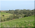 2009 : Lower Shirehill Farm