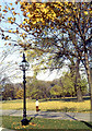 TQ2780 : November morning in Hyde Park by Derek Voller